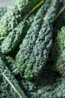 Organik Çiğ Yeşil Lacinato Dinozor Kalesi