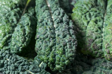 Organik Çiğ Yeşil Lacinato Dinozor Kalesi