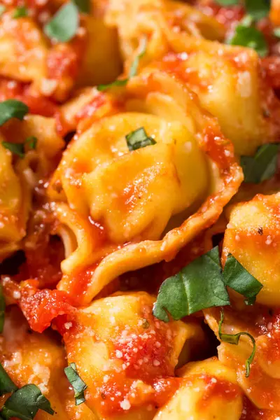 Domates soslu ve fesleğenli ev yapımı Tortellini Makarnası