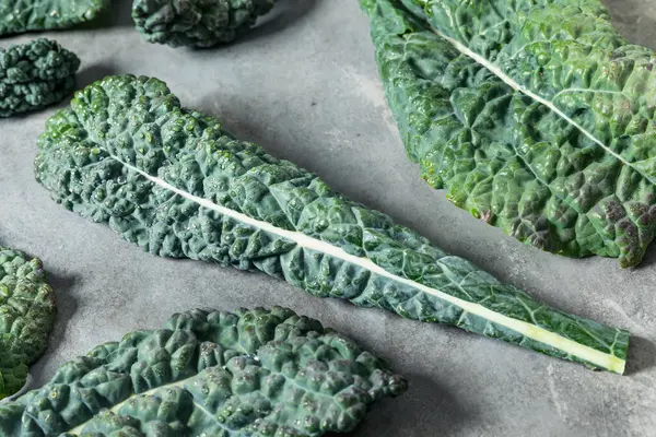 Organik Çiğ Yeşil Lacinato Dinozor Kalesi