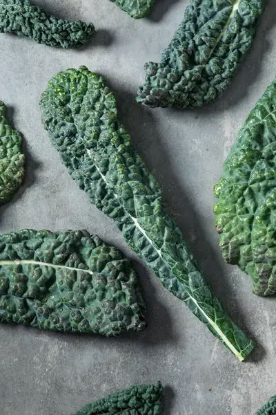 Organik Çiğ Yeşil Lacinato Dinozor Kalesi