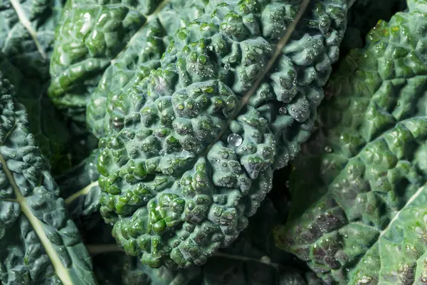 Organik Çiğ Yeşil Lacinato Dinozor Kalesi