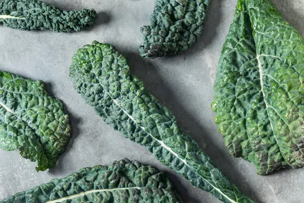 Organik Çiğ Yeşil Lacinato Dinozor Kalesi