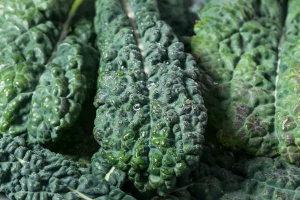 Organik Çiğ Yeşil Lacinato Dinozor Kalesi