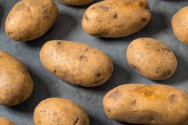 Bir demet çiğ organik kahverengi Russet patatesleri