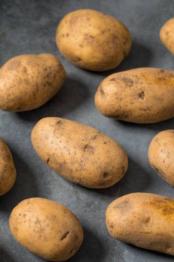 Bir demet çiğ organik kahverengi Russet patatesleri