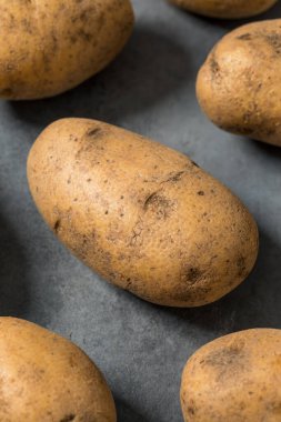 Bir demet çiğ organik kahverengi Russet patatesleri