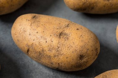 Bir demet çiğ organik kahverengi Russet patatesleri