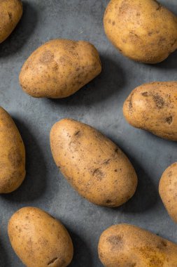 Bir demet çiğ organik kahverengi Russet patatesleri