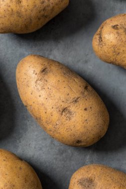 Bir demet çiğ organik kahverengi Russet patatesleri