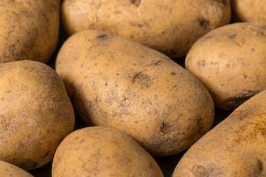 Bir demet çiğ organik kahverengi Russet patatesleri