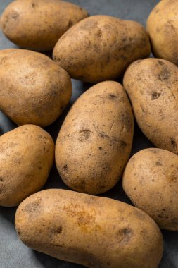 Bir demet çiğ organik kahverengi Russet patatesleri