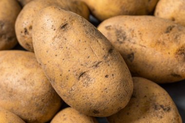 Bir demet çiğ organik kahverengi Russet patatesleri