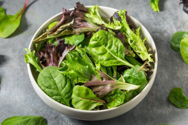 Organik Çiğ Yeşil Bahar Marulu Ispanak ve Arugula karışımı