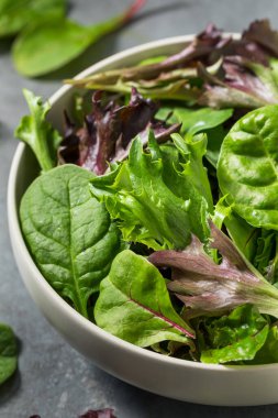 Organik Çiğ Yeşil Bahar Marulu Ispanak ve Arugula karışımı