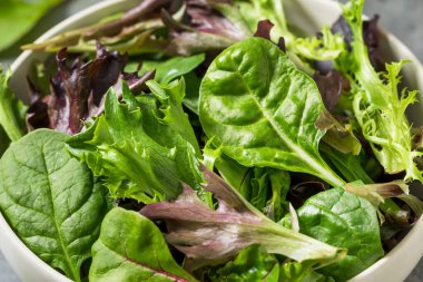 Organik Çiğ Yeşil Bahar Marulu Ispanak ve Arugula karışımı