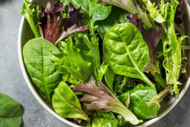 Organik Çiğ Yeşil Bahar Marulu Ispanak ve Arugula karışımı