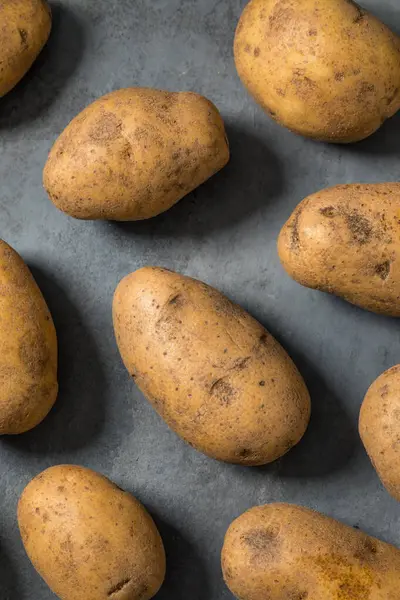 Bir demet çiğ organik kahverengi Russet patatesleri