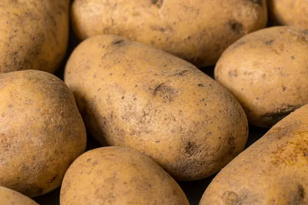 Bir demet çiğ organik kahverengi Russet patatesleri