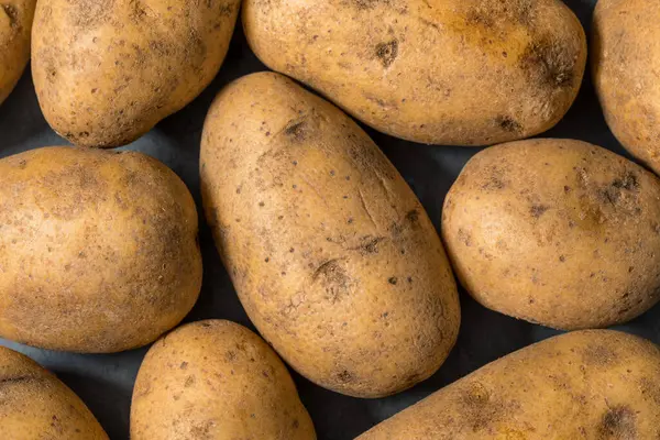 Bir demet çiğ organik kahverengi Russet patatesleri