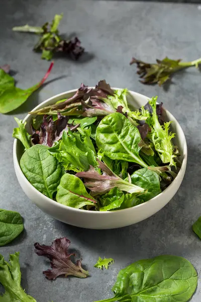 Organik Çiğ Yeşil Bahar Marulu Ispanak ve Arugula karışımı