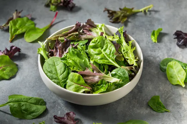 Organik Çiğ Yeşil Bahar Marulu Ispanak ve Arugula karışımı
