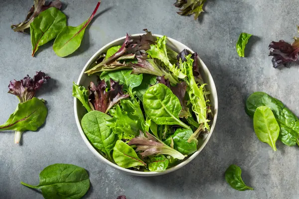 Organik Çiğ Yeşil Bahar Marulu Ispanak ve Arugula karışımı