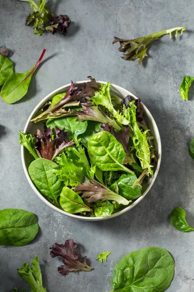Organik Çiğ Yeşil Bahar Marulu Ispanak ve Arugula karışımı