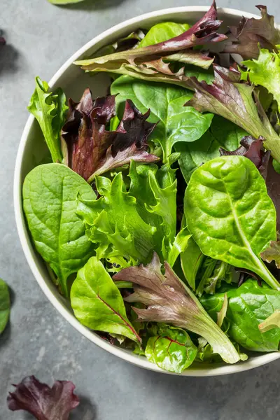Organik Çiğ Yeşil Bahar Marulu Ispanak ve Arugula karışımı