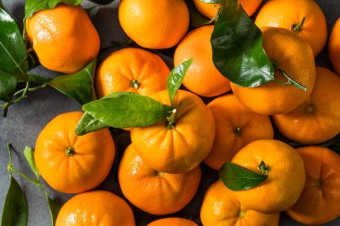 Yeşil Yapraklı Organik Çiğ Mandalina Portakalları