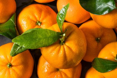 Yeşil Yapraklı Organik Çiğ Mandalina Portakalları