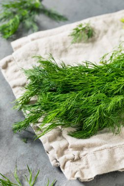 Pişirmek için Çiğ Organik Yeşil Dill Bitkisi