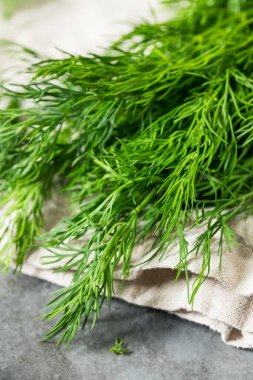 Pişirmek için Çiğ Organik Yeşil Dill Bitkisi