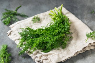 Pişirmek için Çiğ Organik Yeşil Dill Bitkisi