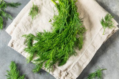 Pişirmek için Çiğ Organik Yeşil Dill Bitkisi