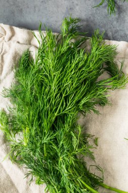 Pişirmek için Çiğ Organik Yeşil Dill Bitkisi