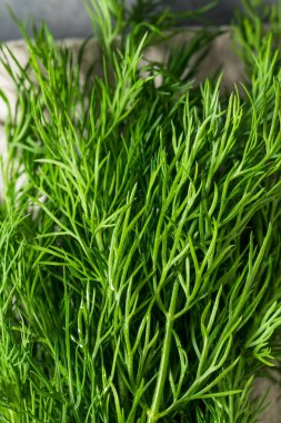 Pişirmek için Çiğ Organik Yeşil Dill Bitkisi