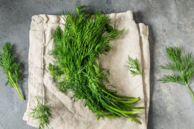 Pişirmek için Çiğ Organik Yeşil Dill Bitkisi