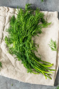 Pişirmek için Çiğ Organik Yeşil Dill Bitkisi