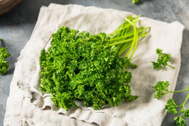 Organik Çiğ Yeşil Kıvırcık Maydanoz Bir demet Sprigs