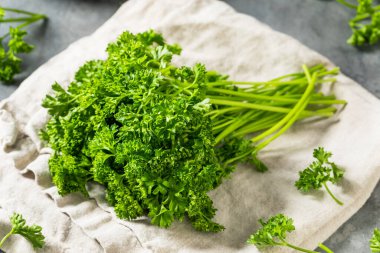 Organik Çiğ Yeşil Kıvırcık Maydanoz Bir demet Sprigs