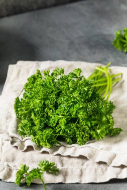 Organik Çiğ Yeşil Kıvırcık Maydanoz Bir demet Sprigs