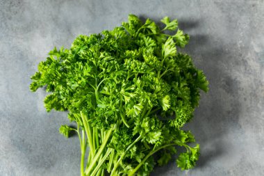 Organik Çiğ Yeşil Kıvırcık Maydanoz Bir demet Sprigs