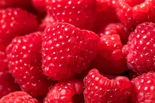 Organik Çiğ Kırmızı Ahududu Yemeye Hazır