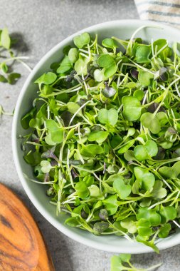 Bir kasede çiğ organik mikro yeşil filizler.