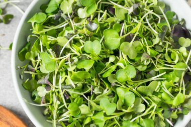 Bir kasede çiğ organik mikro yeşil filizler.