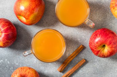 Festive Warm Hot Apple Cider in a Mug for Autumn