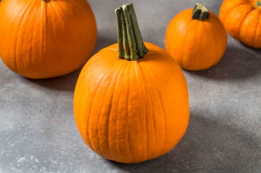 Organic Orange Pie Pumpkins Ready to Cook with for Thanksgiving