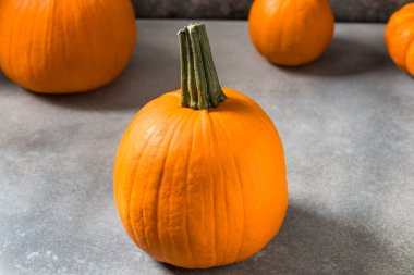Organic Orange Pie Pumpkins Ready to Cook with for Thanksgiving