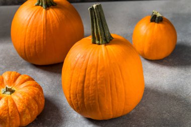 Organic Orange Pie Pumpkins Ready to Cook with for Thanksgiving